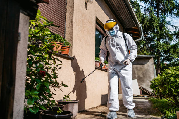 Best Pest Control Near Me in Commerce, TX