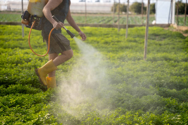 Best Exterminator Services  in Commerce, TX