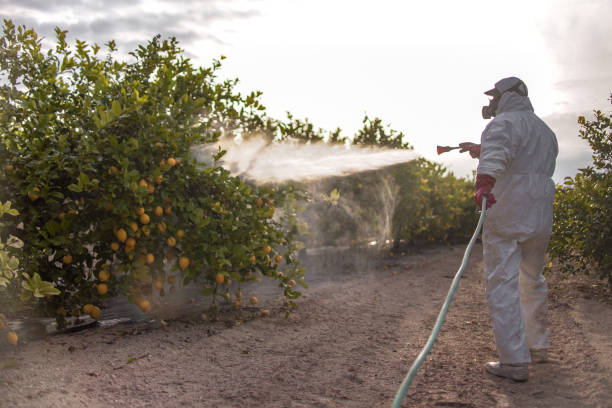 Pest Control Cost in Commerce, TX