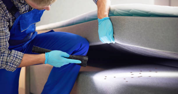 Best Pest Control for Homes  in Commerce, TX