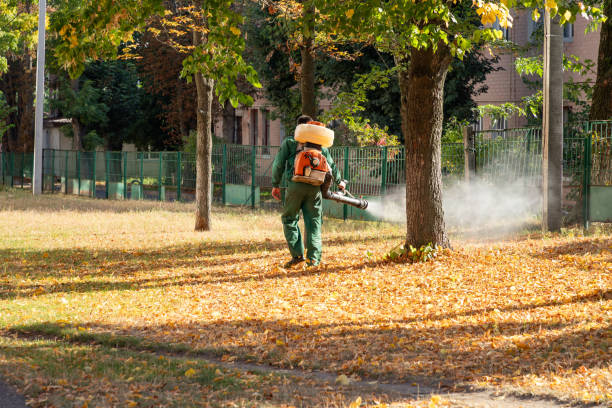 Best Pest Removal Services  in Commerce, TX