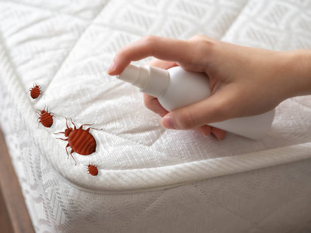 Best Best Pest Control Companies  in Commerce, TX