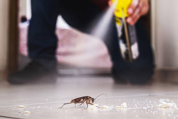 Best Best Pest Control Near Me  in Commerce, TX
