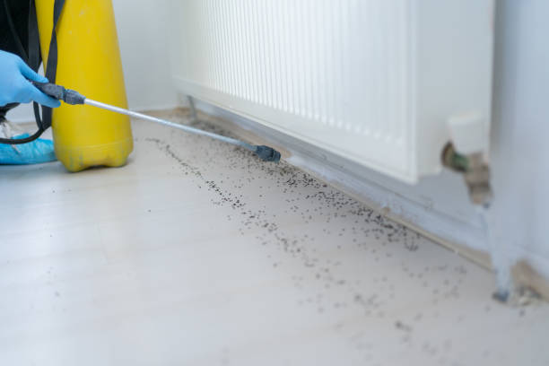 Best Affordable Exterminators  in Commerce, TX