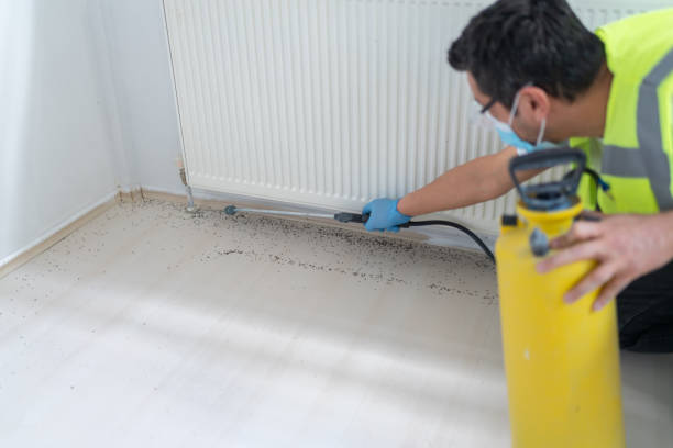 Best Pest Inspection Near Me  in Commerce, TX